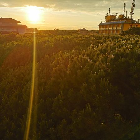 Hotel Pine Beach Rosolina Mare Eksteriør bilde