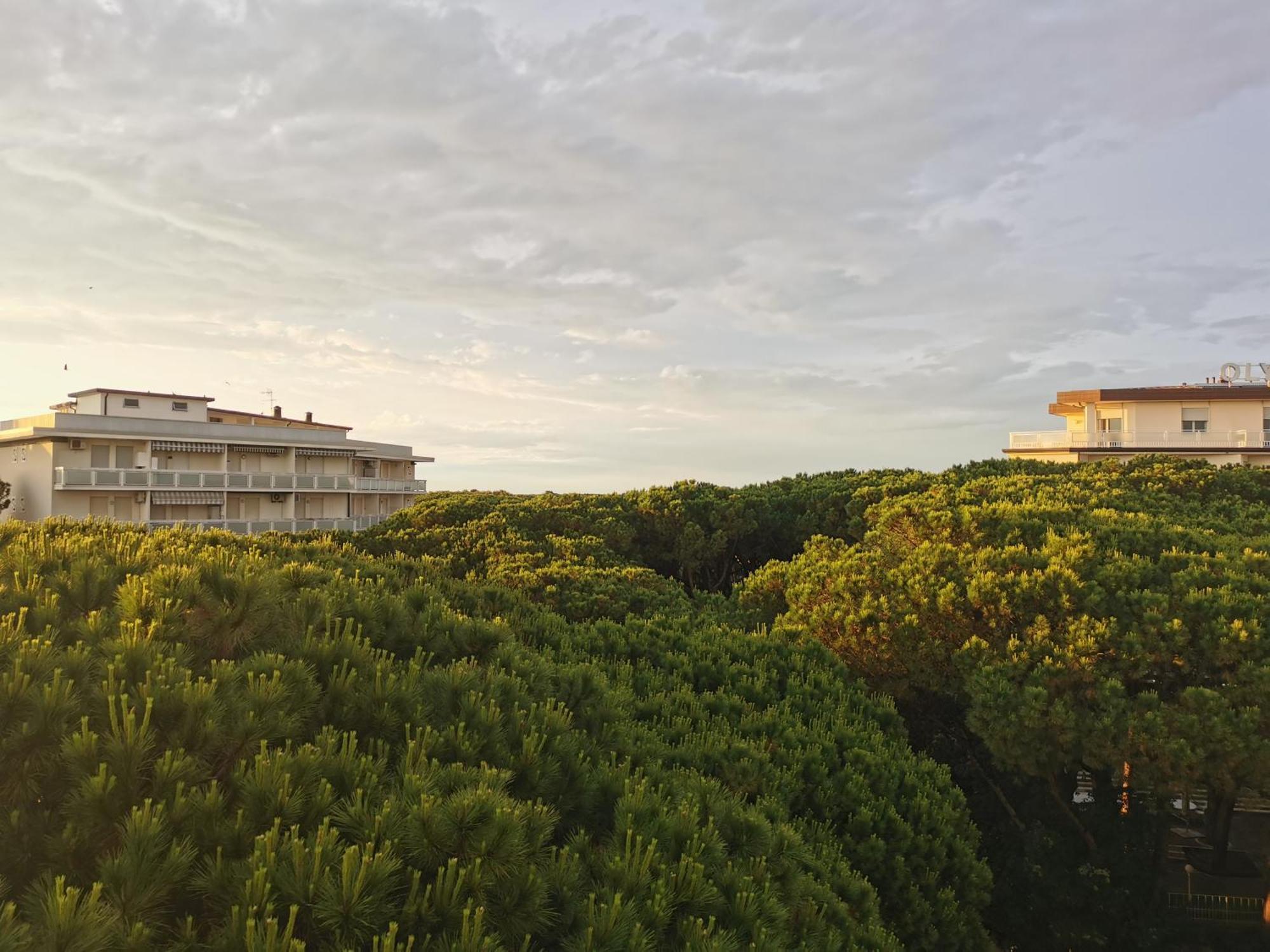 Hotel Pine Beach Rosolina Mare Eksteriør bilde